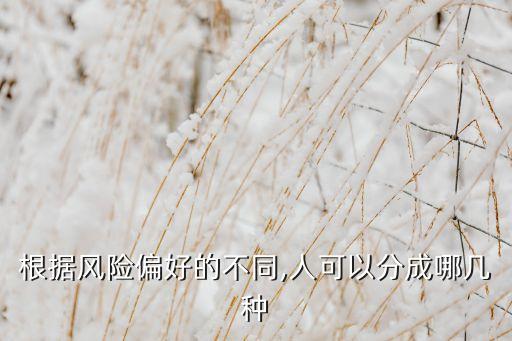 假投資人的類型,投資類型怎么填寫