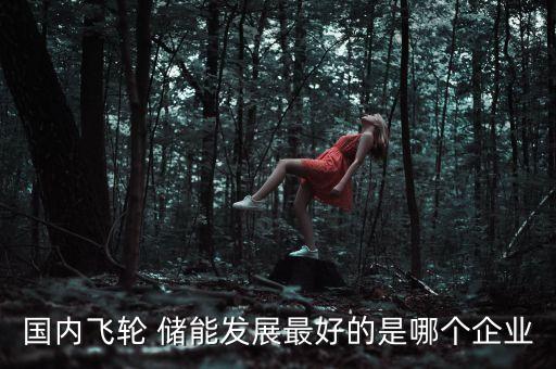 中國儲能公司