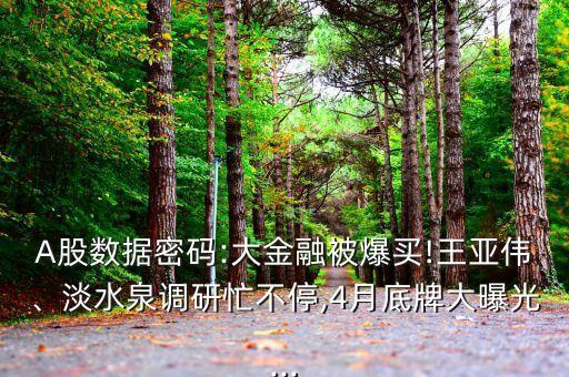 A股數(shù)據(jù)密碼:大金融被爆買!王亞偉、淡水泉調(diào)研忙不停,4月底牌大曝光...