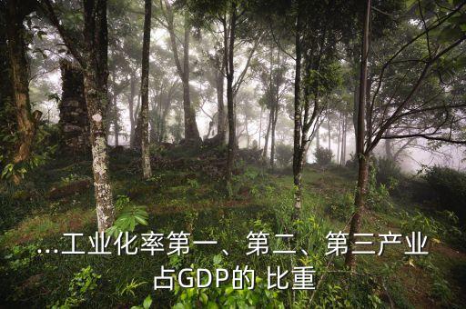 ...工業(yè)化率第一、第二、第三產(chǎn)業(yè)占GDP的 比重