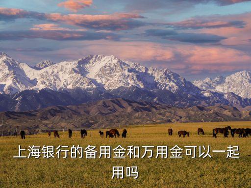  上海銀行的備用金和萬用金可以一起用嗎