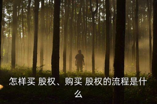 怎樣買 股權(quán)、購(gòu)買 股權(quán)的流程是什么