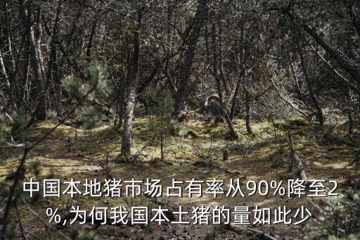 中國(guó)本地豬市場(chǎng)占有率從90%降至2%,為何我國(guó)本土豬的量如此少