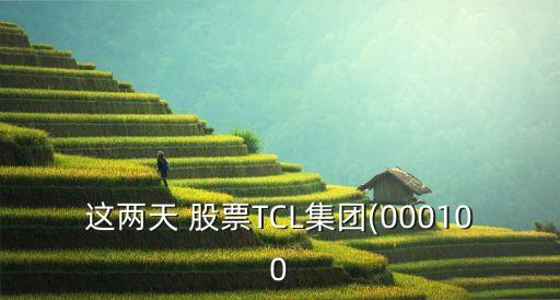 這兩天 股票TCL集團(tuán)(000100
