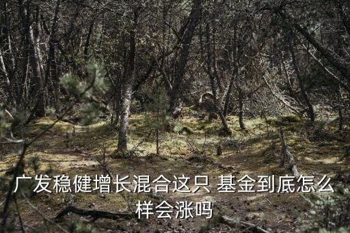廣發(fā)穩(wěn)健增長混合這只 基金到底怎么樣會(huì)漲嗎