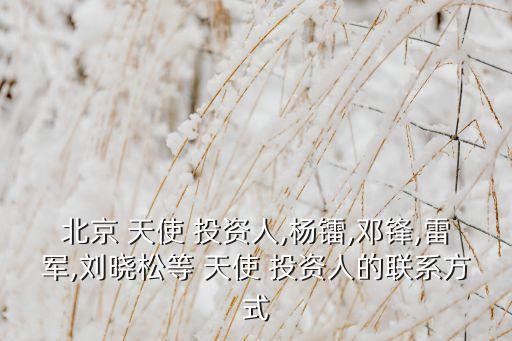 北京 天使 投資人,楊鐳,鄧鋒,雷軍,劉曉松等 天使 投資人的聯(lián)系方式