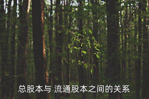 總股本與 流通股本之間的關系
