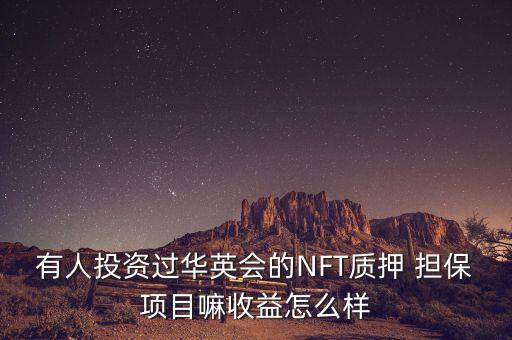 與理財范合作的擔保公司
