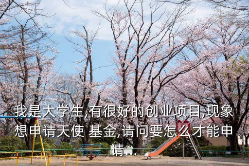 我是大學生,有很好的創(chuàng)業(yè)項目,現(xiàn)象想申請?zhí)焓?基金,請問要怎么才能申請...