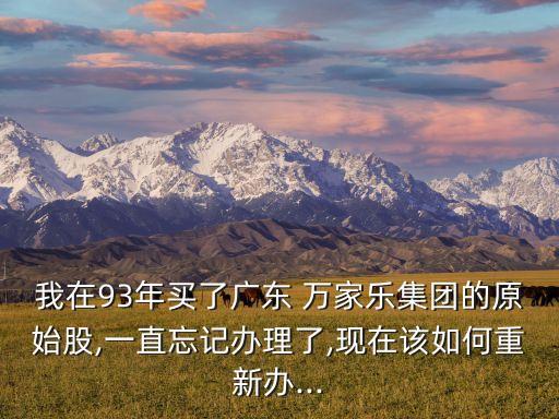 我在93年買了廣東 萬(wàn)家樂(lè)集團(tuán)的原始股,一直忘記辦理了,現(xiàn)在該如何重新辦...