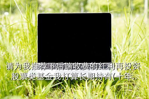 請(qǐng)為我推薦下后端收費(fèi)的紅利再投資 股票類基金我打算長(zhǎng)期持有(十年...