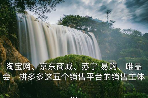 淘寶網(wǎng)、京東商城、蘇寧 易購、唯品會、拼多多這五個銷售平臺的銷售主體...