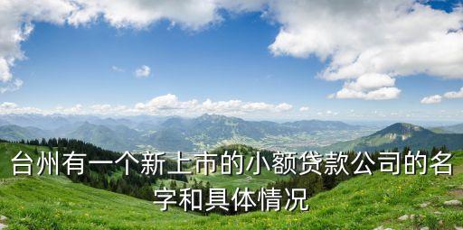 臺(tái)州有一個(gè)新上市的小額貸款公司的名字和具體情況