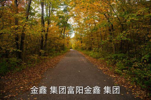 金鑫 集團(tuán)富陽金鑫 集團(tuán)
