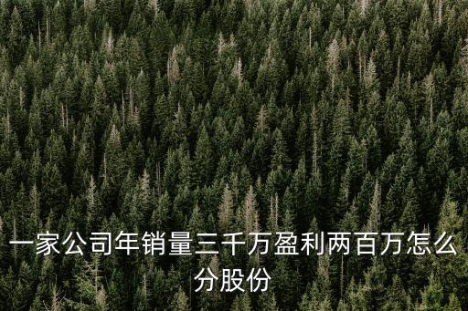 一家公司年銷量三千萬(wàn)盈利兩百萬(wàn)怎么分股份