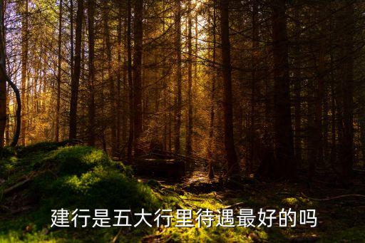  建行是五大行里待遇最好的嗎