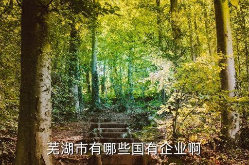 蕪湖市有哪些國有企業(yè)啊