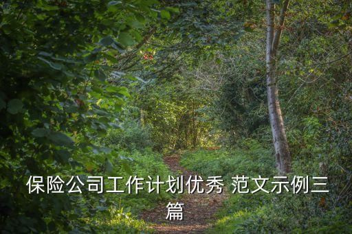 保險公司理賠服務明星范文