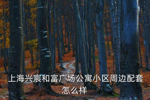  上海興宸和富廣場(chǎng)公寓小區(qū)周邊配套怎么樣