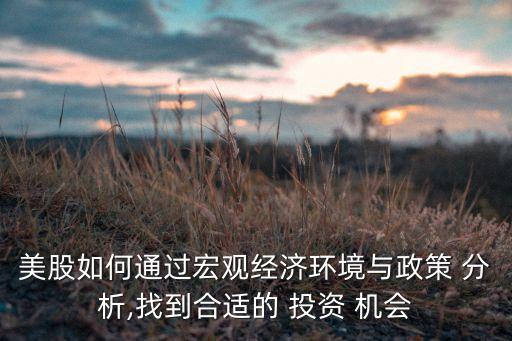 美股如何通過宏觀經(jīng)濟(jì)環(huán)境與政策 分析,找到合適的 投資 機(jī)會