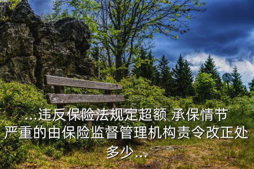 ...違反保險法規(guī)定超額 承保情節(jié)嚴(yán)重的由保險監(jiān)督管理機(jī)構(gòu)責(zé)令改正處多少...