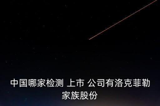 中國(guó)哪家檢測(cè) 上市 公司有洛克菲勒家族股份