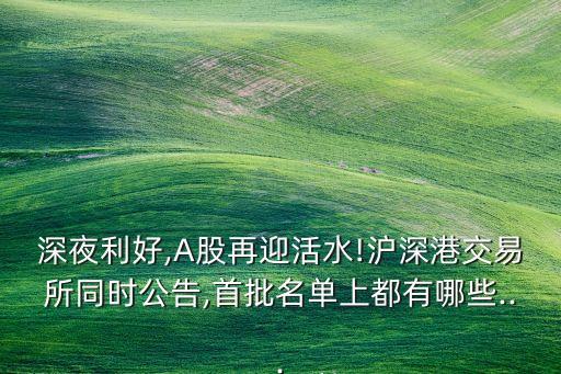 深夜利好,A股再迎活水!滬深港交易所同時(shí)公告,首批名單上都有哪些...