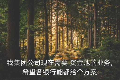 跨國(guó)公司外匯資金集中管理,外匯資金集中管理的原則不包括
