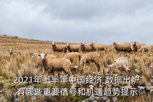 中國(guó)發(fā)展數(shù)據(jù),中國(guó)十年的發(fā)展數(shù)據(jù)圖