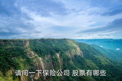 請(qǐng)問(wèn)一下保險(xiǎn)公司 股票有哪些