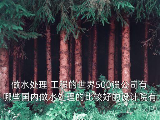 做水處理 工程的世界500強公司有哪些國內(nèi)做水處理的比較好的設(shè)計院有...