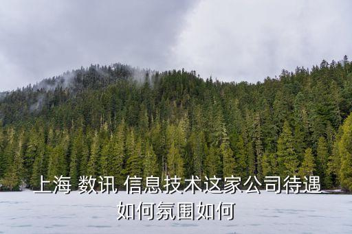  上海 數(shù)訊 信息技術(shù)這家公司待遇如何氛圍如何