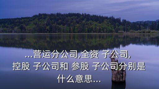 控股子公司和參股子公司哪個(gè),間接控股子公司屬于子公司嗎