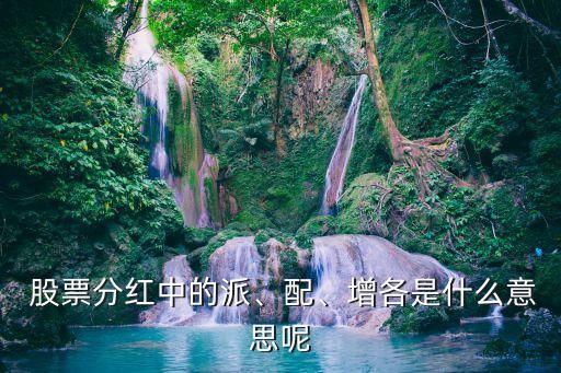  股票分紅中的派、配、增各是什么意思呢