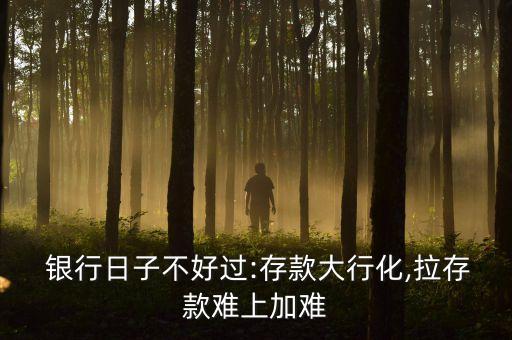 畢業(yè)生在銀行攬儲有多難,應屆畢業(yè)生在銀行工作怎么樣
