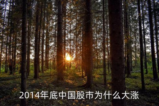 2014年底中國(guó)股市為什么大漲