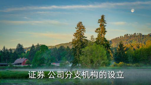  證券 公司分支機構的設立