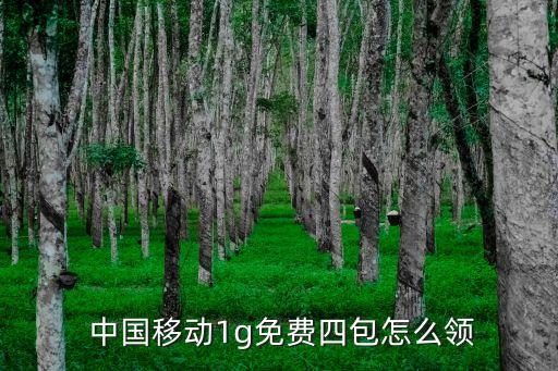 中國移動(dòng)的流量改革