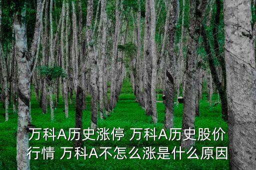  萬(wàn)科A歷史漲停 萬(wàn)科A歷史股價(jià) 行情 萬(wàn)科A不怎么漲是什么原因