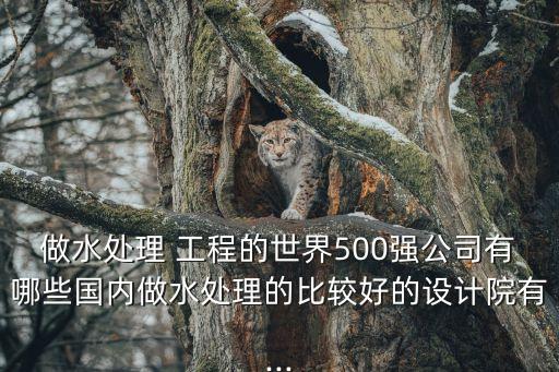 做水處理 工程的世界500強公司有哪些國內做水處理的比較好的設計院有...