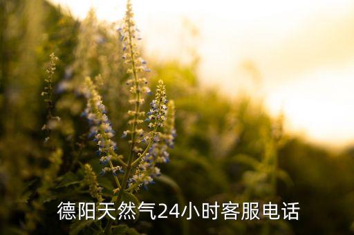  德陽天然氣24小時(shí)客服電話