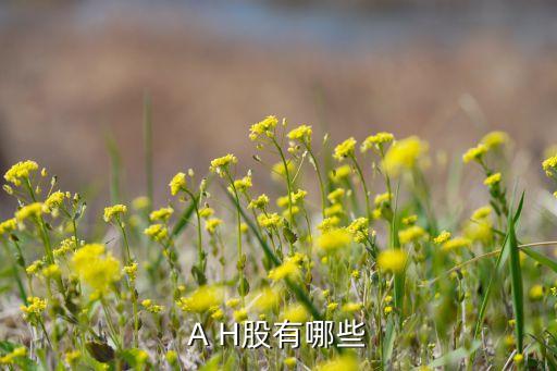 A H股有哪些