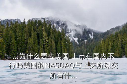 ...為什么要去美國 上市在國內不行嗎美國的NASDAQ與上交所深交所有什...