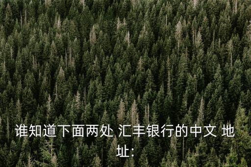 香港機(jī)場(chǎng)匯豐銀行地址,離香港機(jī)場(chǎng)最近的匯豐銀行在哪
