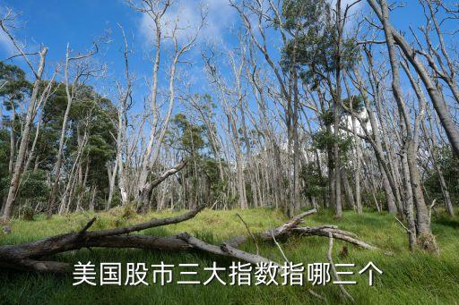 納斯達克股票市場屬于,美國的納斯達克是創(chuàng)業(yè)板股票市場