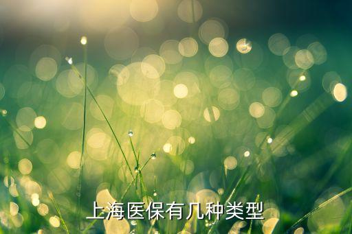 上海市城鎮(zhèn)居民基本醫(yī)療保險(xiǎn)登記表,城鎮(zhèn)居民基本醫(yī)療保險(xiǎn)是什么意思