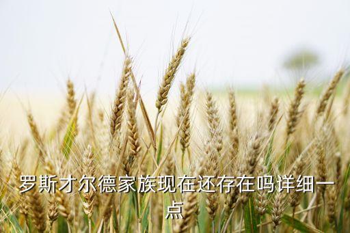  羅斯才爾德家族現(xiàn)在還存在嗎詳細(xì)一點(diǎn)