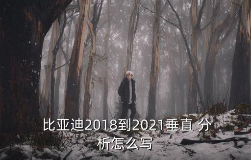  比亞迪2018到2021垂直 分析怎么寫