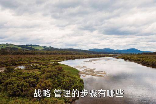  戰(zhàn)略 管理的步驟有哪些