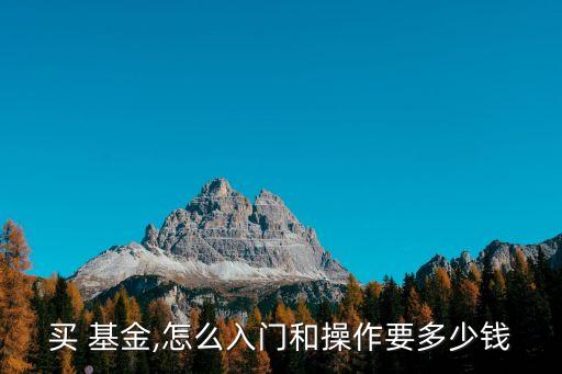 基金一般買多錢的,買基金一般看什么
